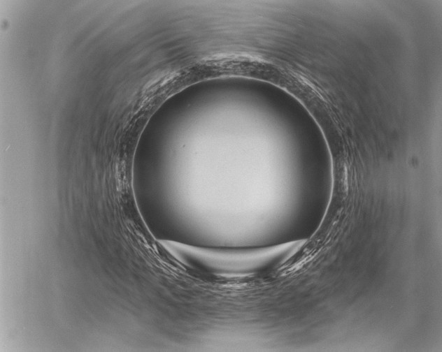 X0000060740965200511141129