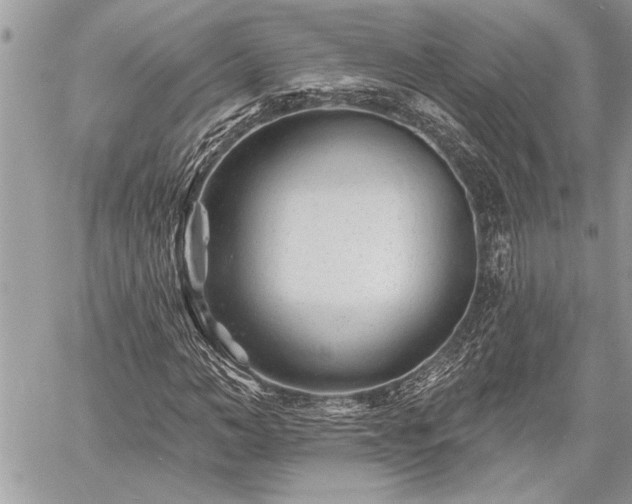 X0000060740966200511141129