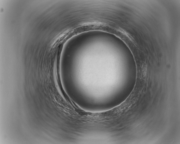 X0000060740967200511141129