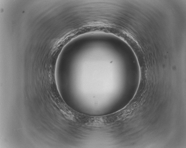 X0000060740968200511141129