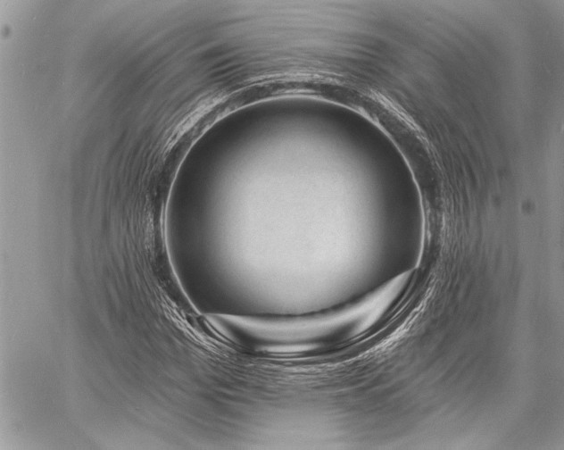 X0000060740969200511141129