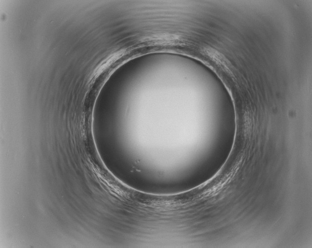 X0000060740970200511141129