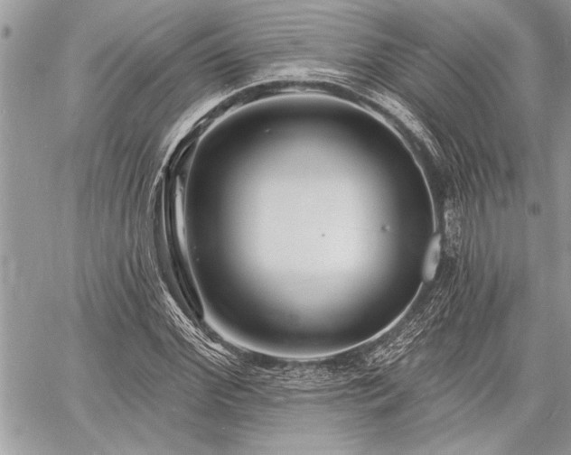 X0000060740972200511141129