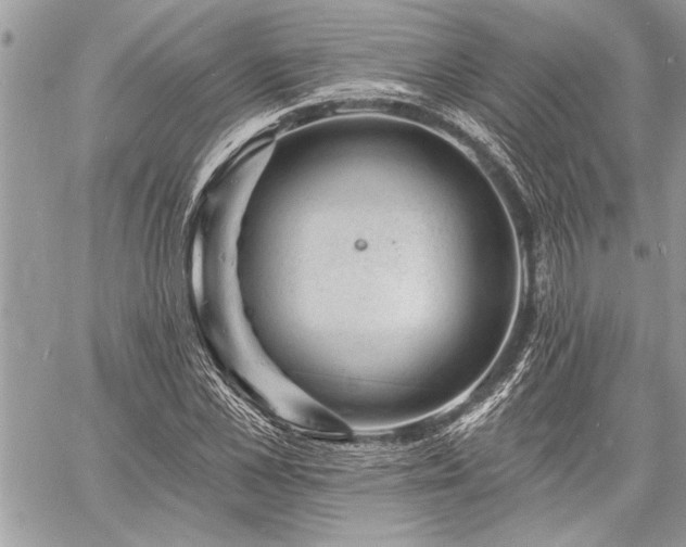 X0000060740973200511141128