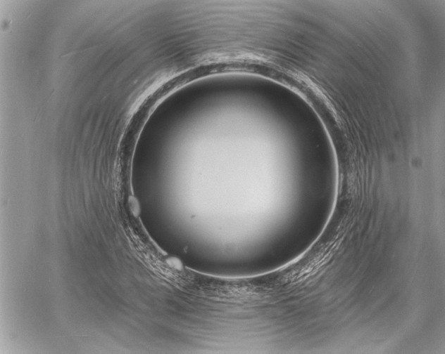 X0000060740975200511141128