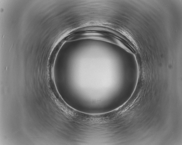 X0000060740976200511141128