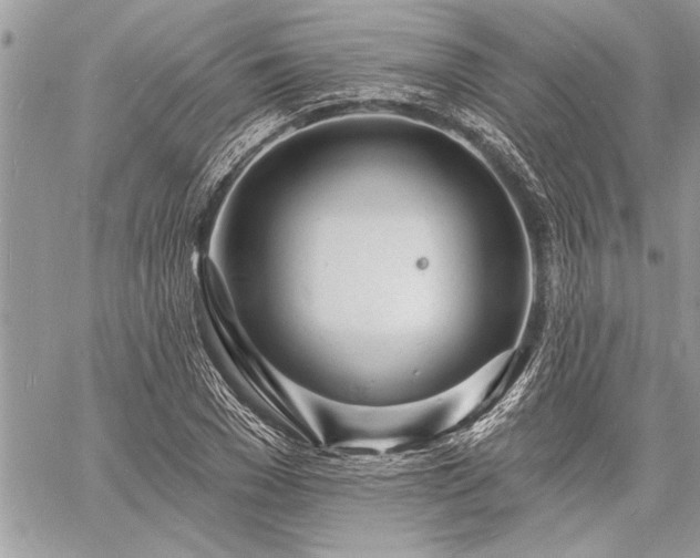 X0000060740977200511141128