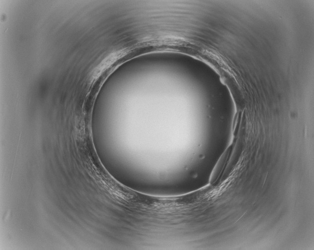 X0000060740978200511141128