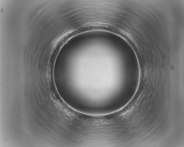 X0000060740979200511141128