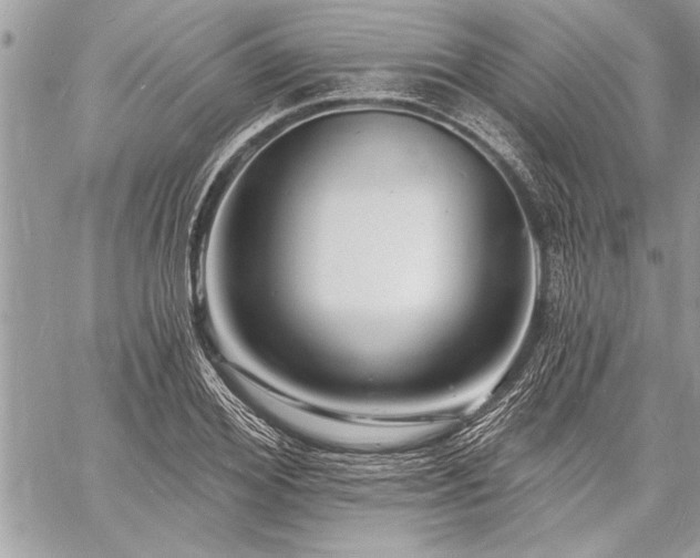 X0000060740980200511141128