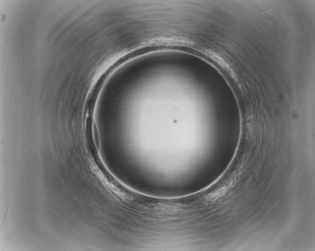 X0000060740981200511141128