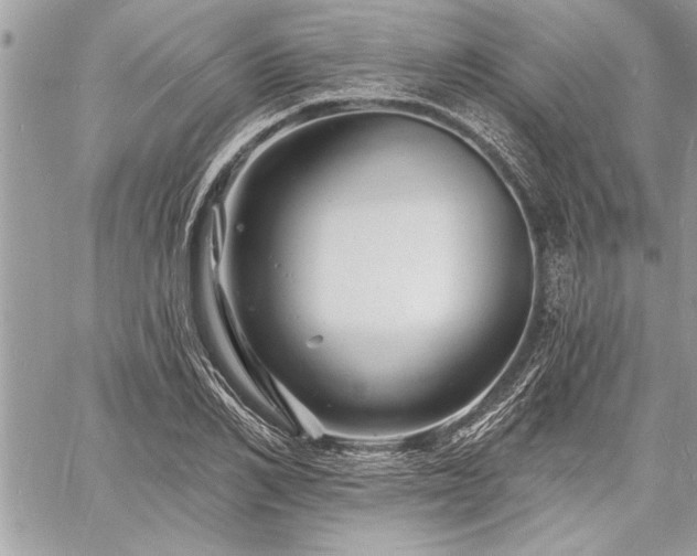 X0000060740982200511141128