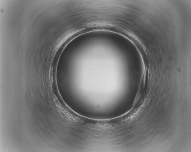 X0000060740983200511141128