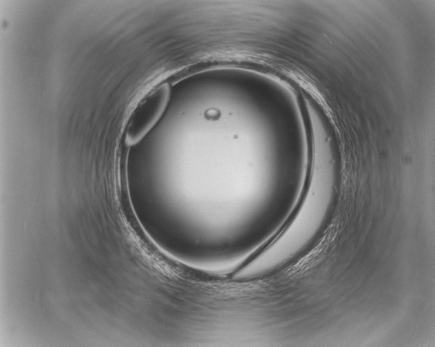 X0000060740984200511141128