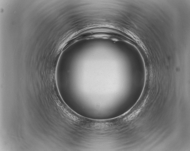 X0000060740985200511141128