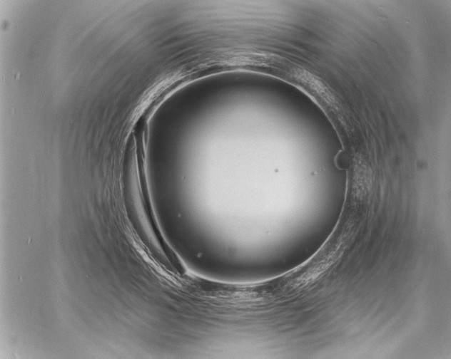 X0000060740986200511141128