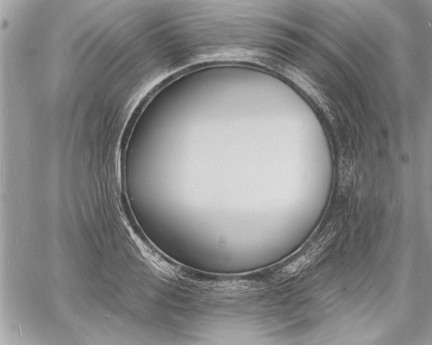 X0000060740988200511141128