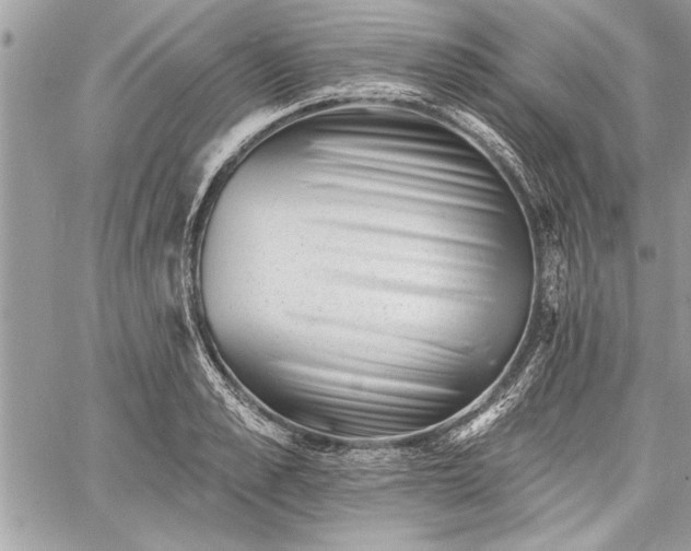 X0000060740989200511141128