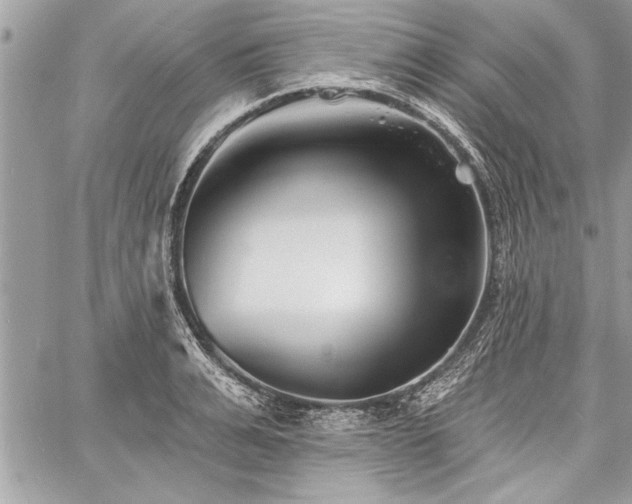 X0000060740991200511141128