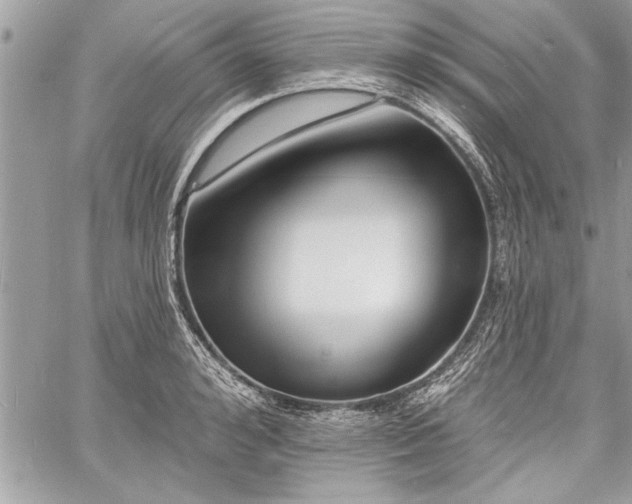 X0000060740992200511141128