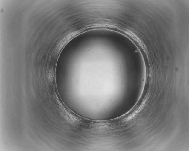 X0000060740993200511141128