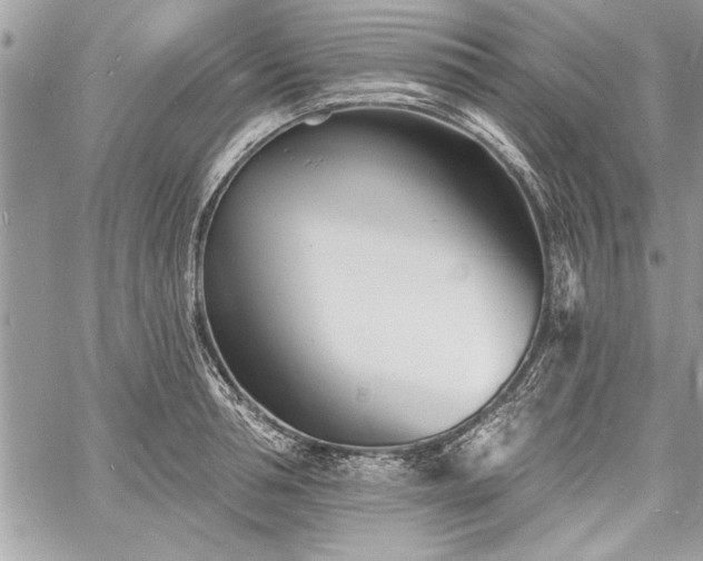 X0000060740994200511141128