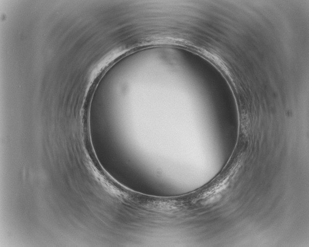 X0000060740995200511141128