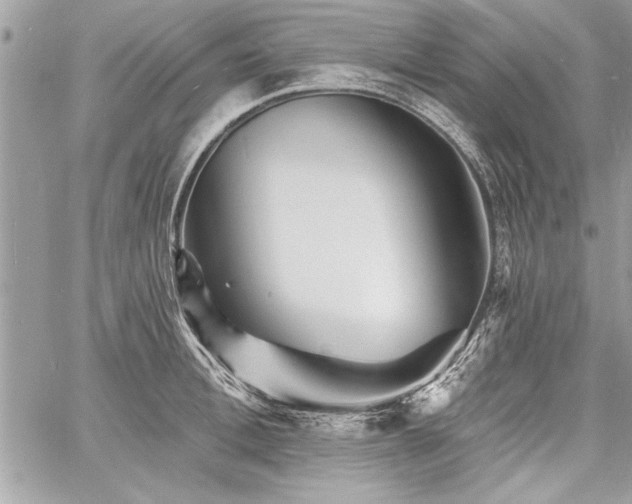 X0000060740996200511141128