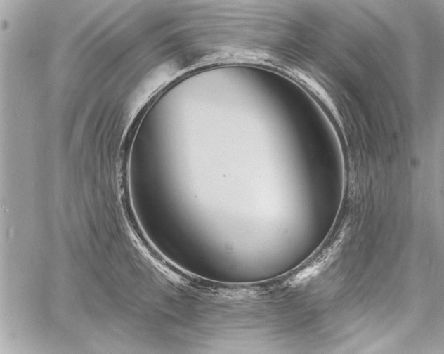 X0000060740997200511141128