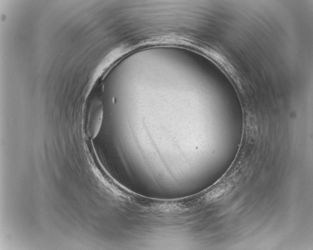 X0000060740998200511141128