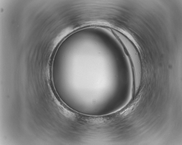 X0000060740999200511141128