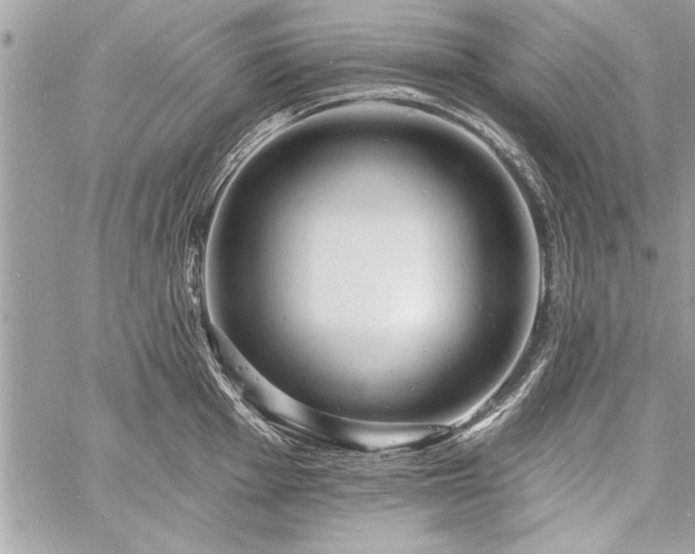 X0000060741001200511141128