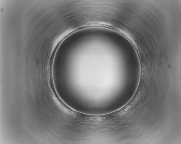 X0000060741003200511141128