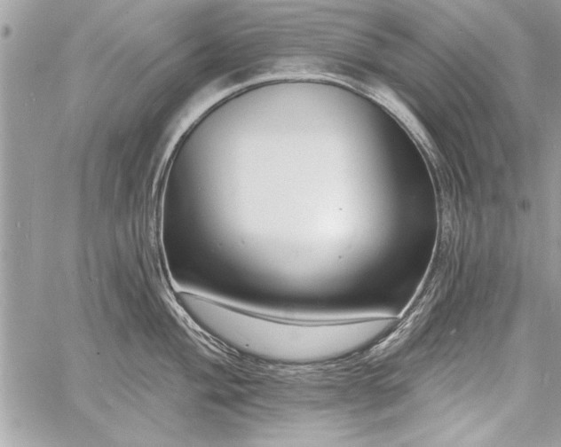 X0000060741004200511141128