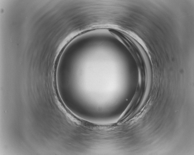 X0000060741005200511141128