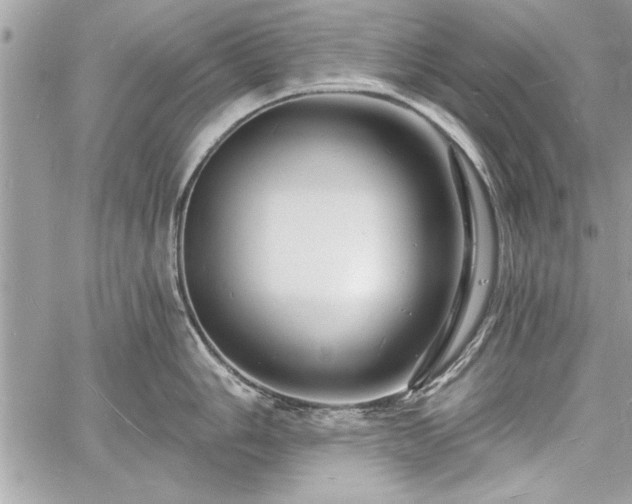 X0000060741006200511141128