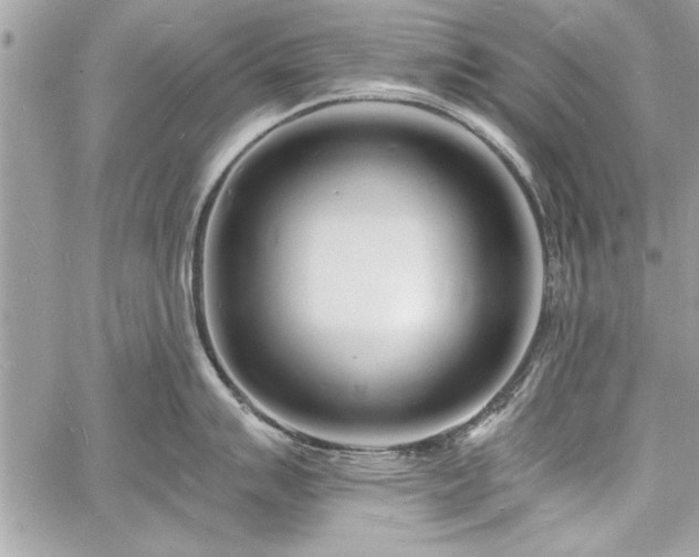 X0000060741007200511141128