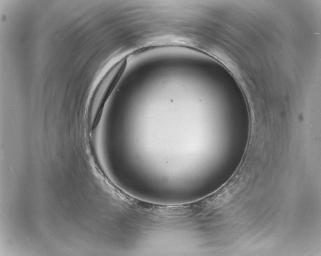 X0000060741008200511141128