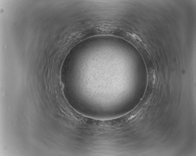 X0000060741009200511141127