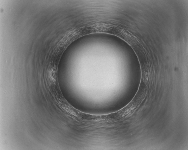 X0000060741010200511141127