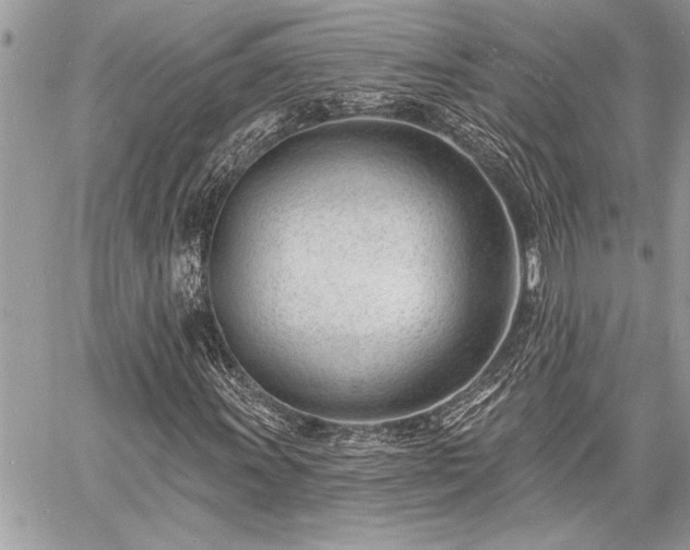 X0000060741011200511141127