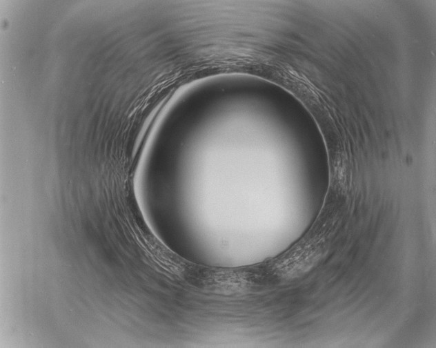 X0000060741012200511141127