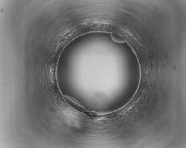 X0000060741013200511141127