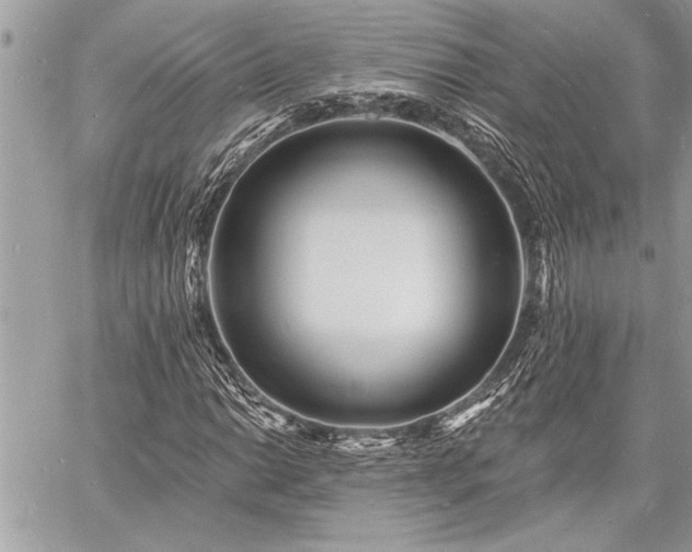 X0000060741014200511141127