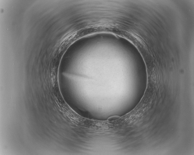 X0000060741015200511141127