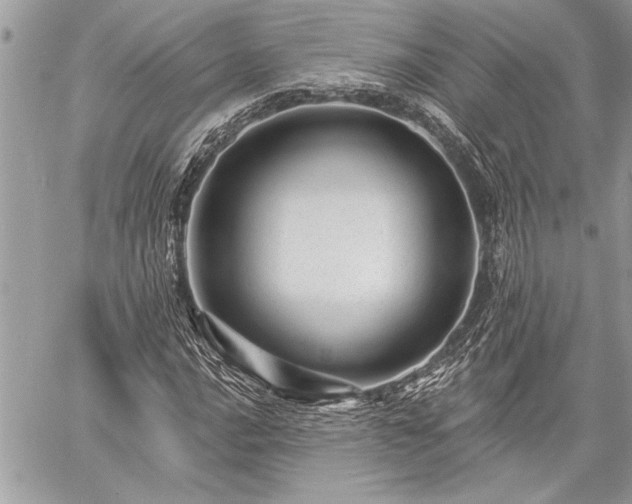 X0000060741016200511141127