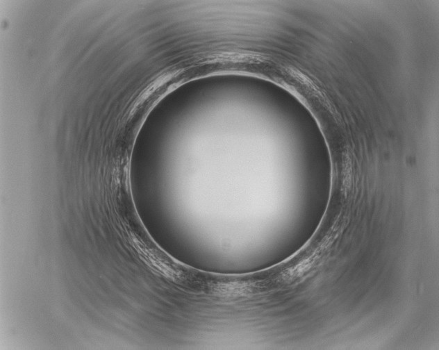 X0000060741017200511141127