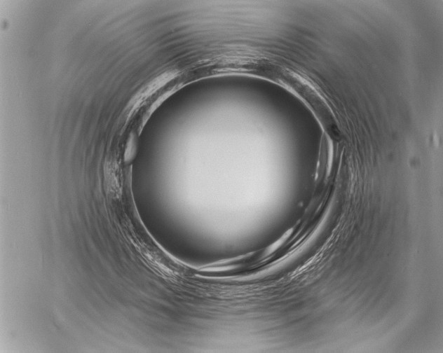 X0000060741018200511141127