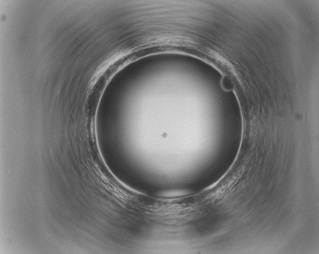 X0000060741019200511141127