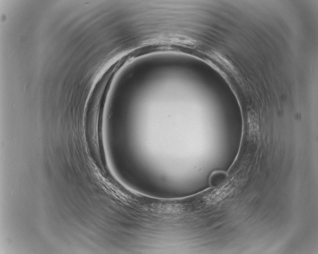 X0000060741020200511141127